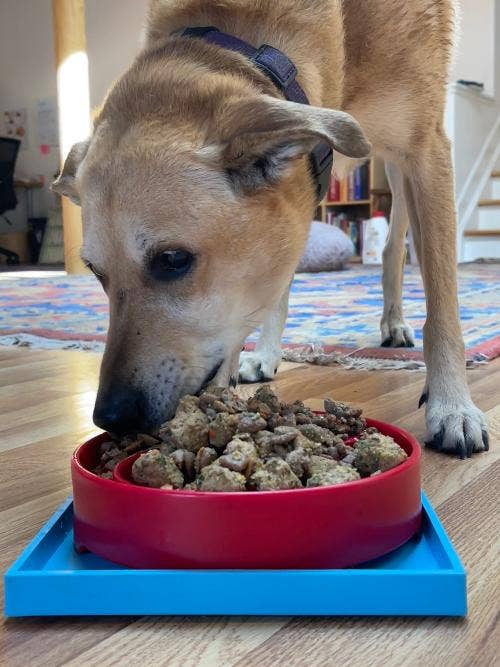 Light Blue Hold 'em Suction Cup Holder for eBowls, eTrays, and eMats for wholesale on Faire10