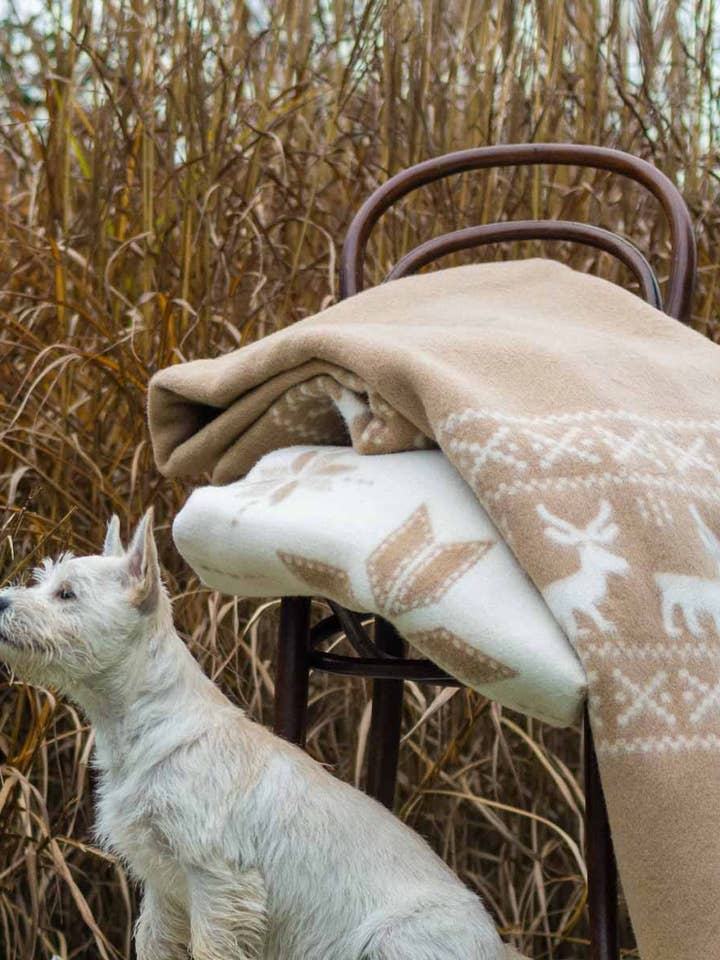 Bettdecke REINDEER aus Merinowolle - Doppel - beige/weiß und andere Ergebnisse für merino im Großhandel. Kostenlose Rücksendungen und 60-Tage-Zahlungsziel auf Faire im Trend auf Faire.