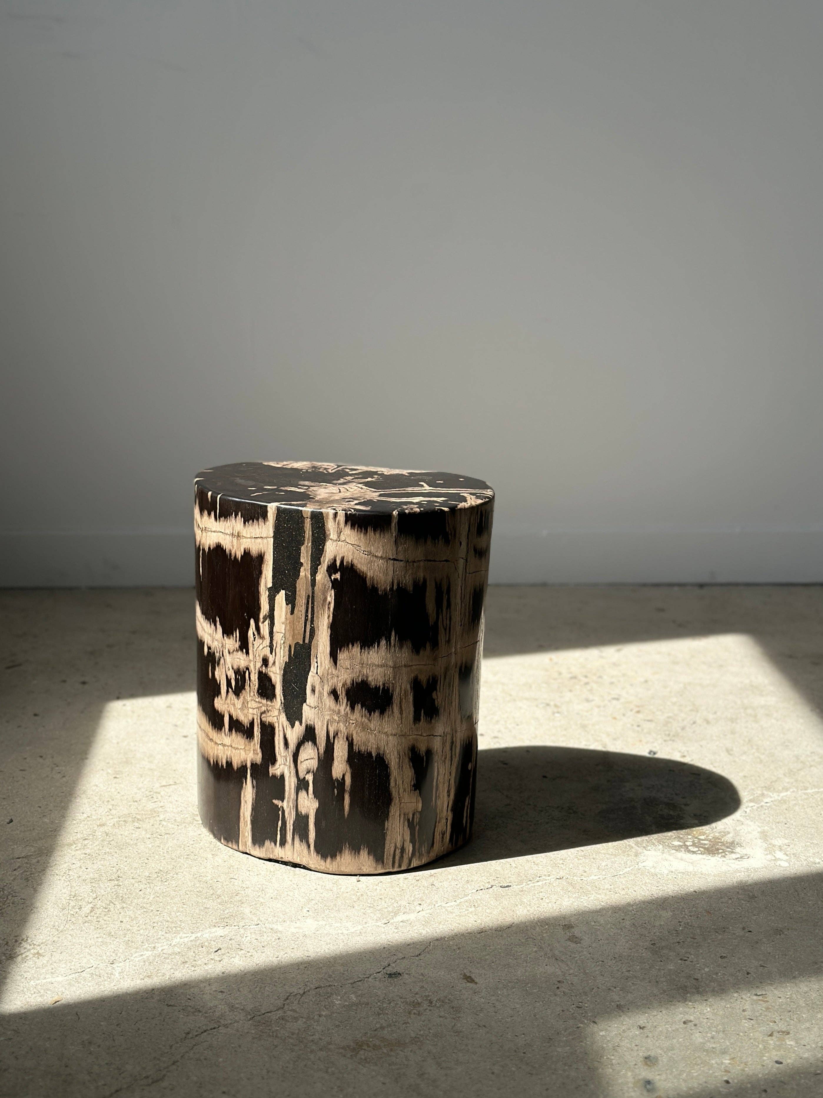 Office Objets - Vente Tables d'appoint - Table d'appoint en bois pétrifié30