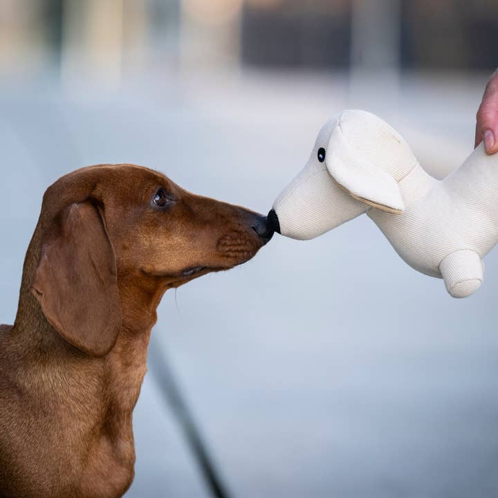 beige Juguete para perros Teckel Pepe de venta al por mayor en Faire