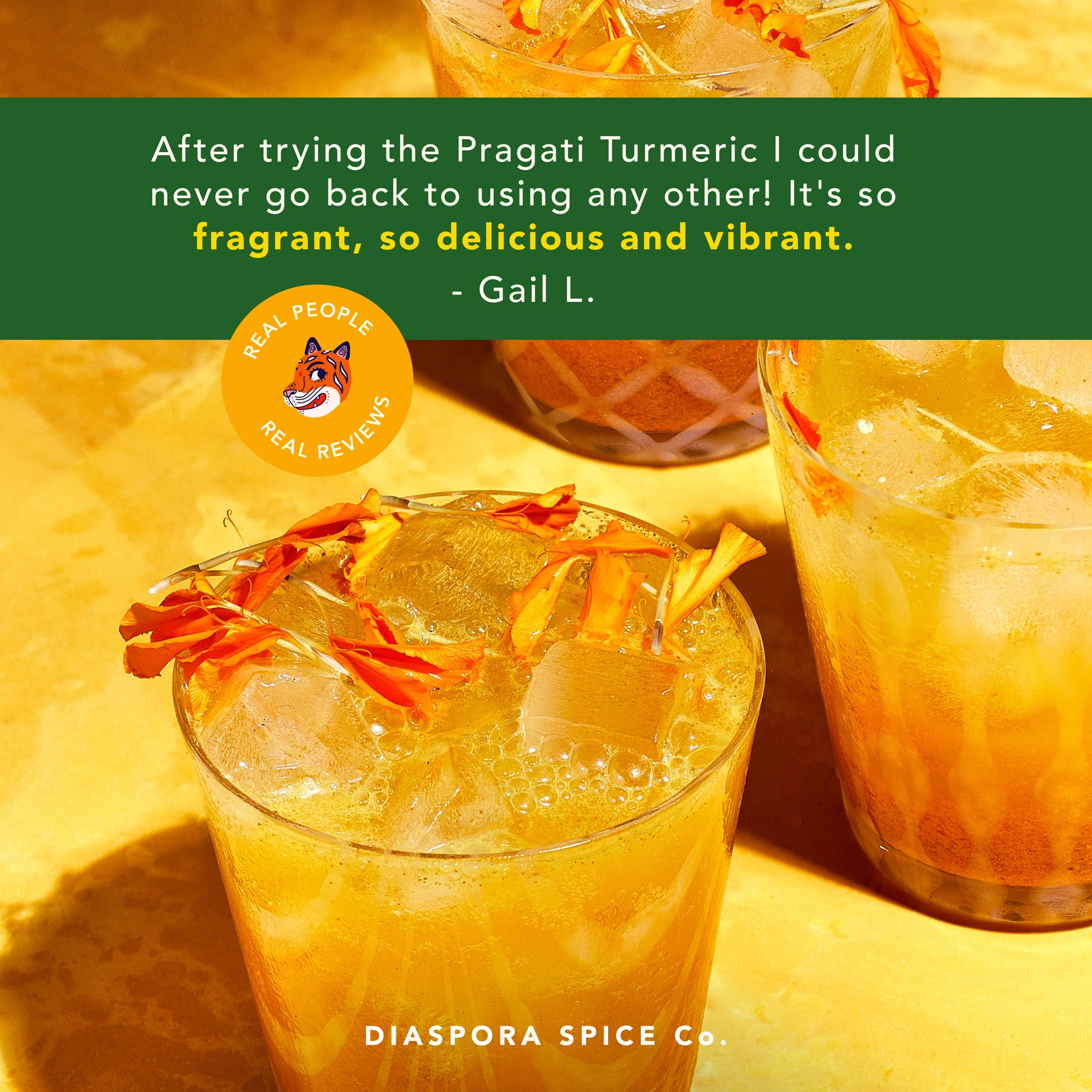 Diaspora Spice Co. - Wholesale Dried Spice - Pragati Turmeric (Powder) - Single-Origin Foodservice Bag3