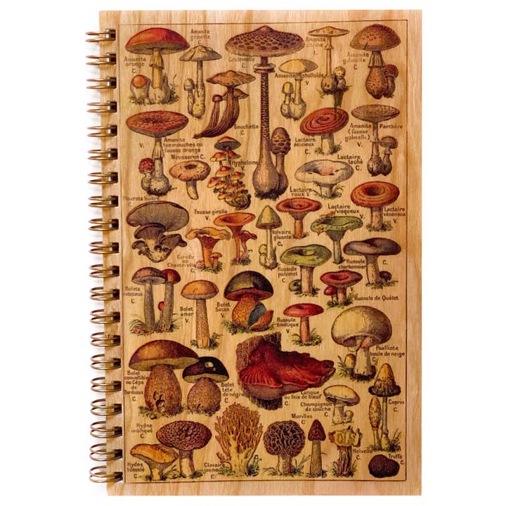 Wood Notebook - Mushroom for wholesale by Spitfire Girl