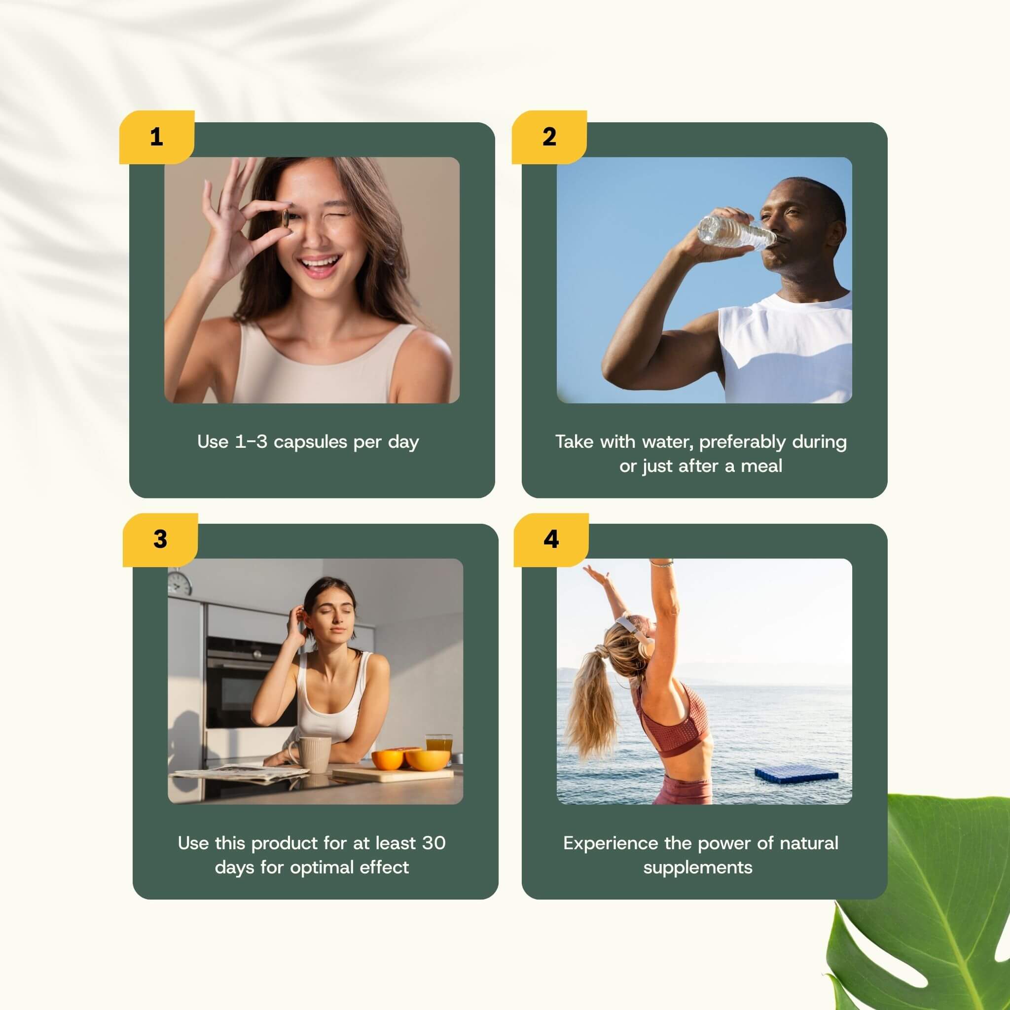 Cupplement b.v. - Wholesale Oral Supplement/Vitamin - Lion's Mane Capsules 500 mg Organic 60 Capsules7