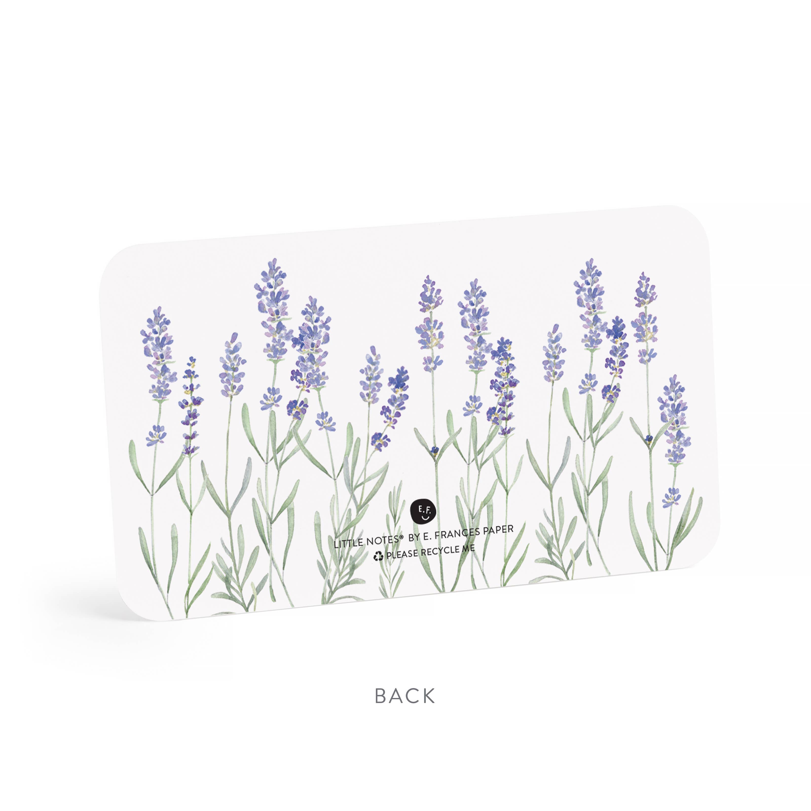 E. Frances Paper - Wholesale Stationery/Notecard Set - Lavender Little Notes®3