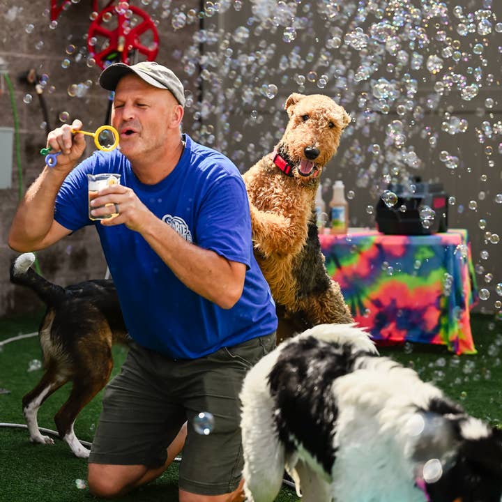 Atomic Bubbles - Wholesale Pet Toy - Dog - Puppy Love - Gingerbread - Single Bottle1