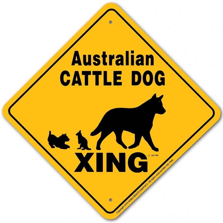 Australische Veedrijvershond Xing Bord Aluminium 30 cm x 30 cm #20540 voor wholesale door Smart Horse Gear