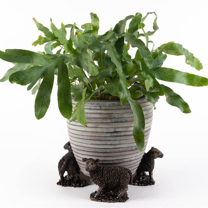 Sheep Plant Pot Feet - Set of 3 for wholesale by Jardinopia UK