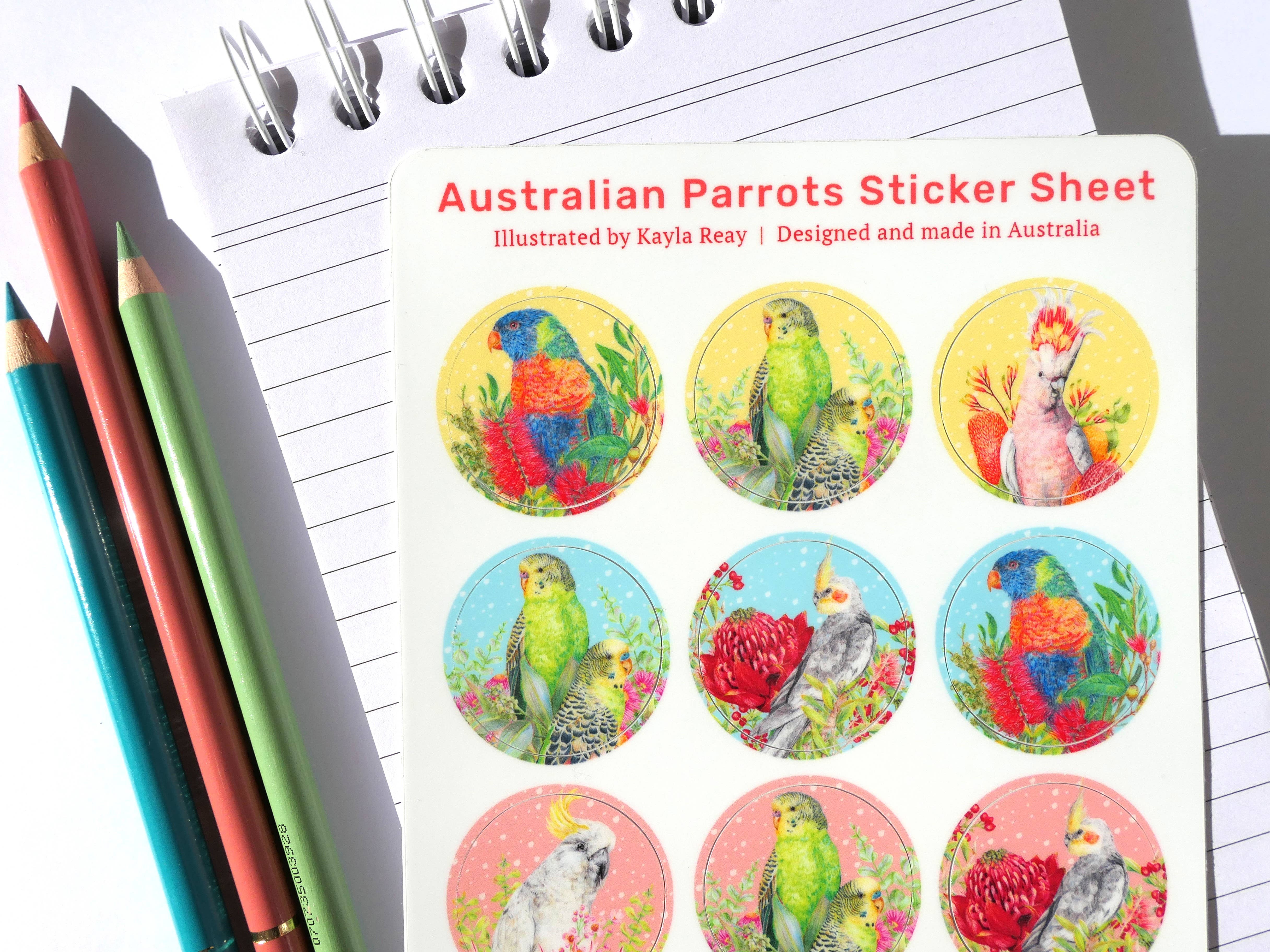 Kayla Reay Design - Venta al por mayor Pegatina - Hoja de pegatinas de vinilo de loros australianos – Papelería de aves5
