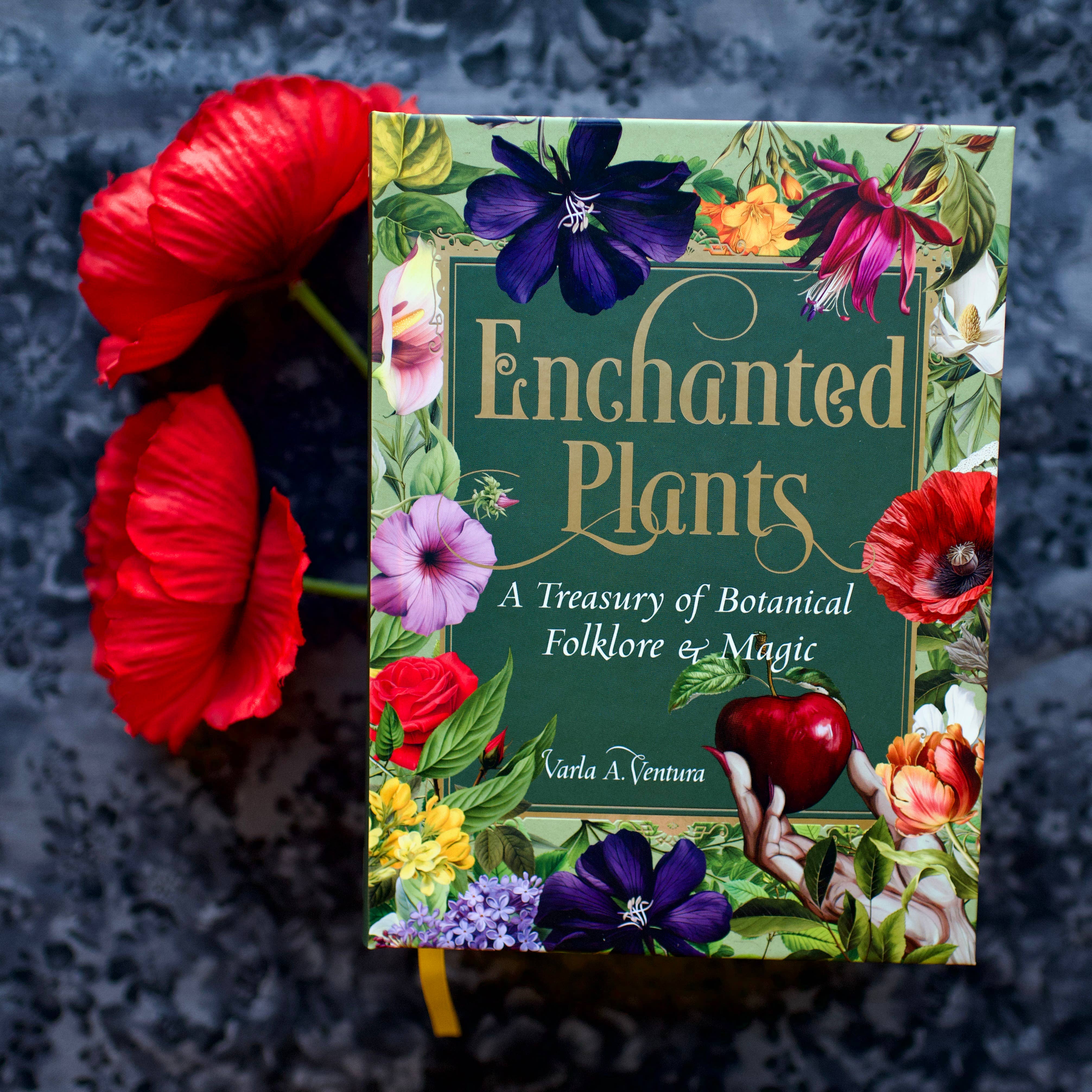 Red Wheel/Weiser LLC - Wholesale Nature & Outdoors - Enchanted Plants: A Treasury of Botanical Folklore and Magic11