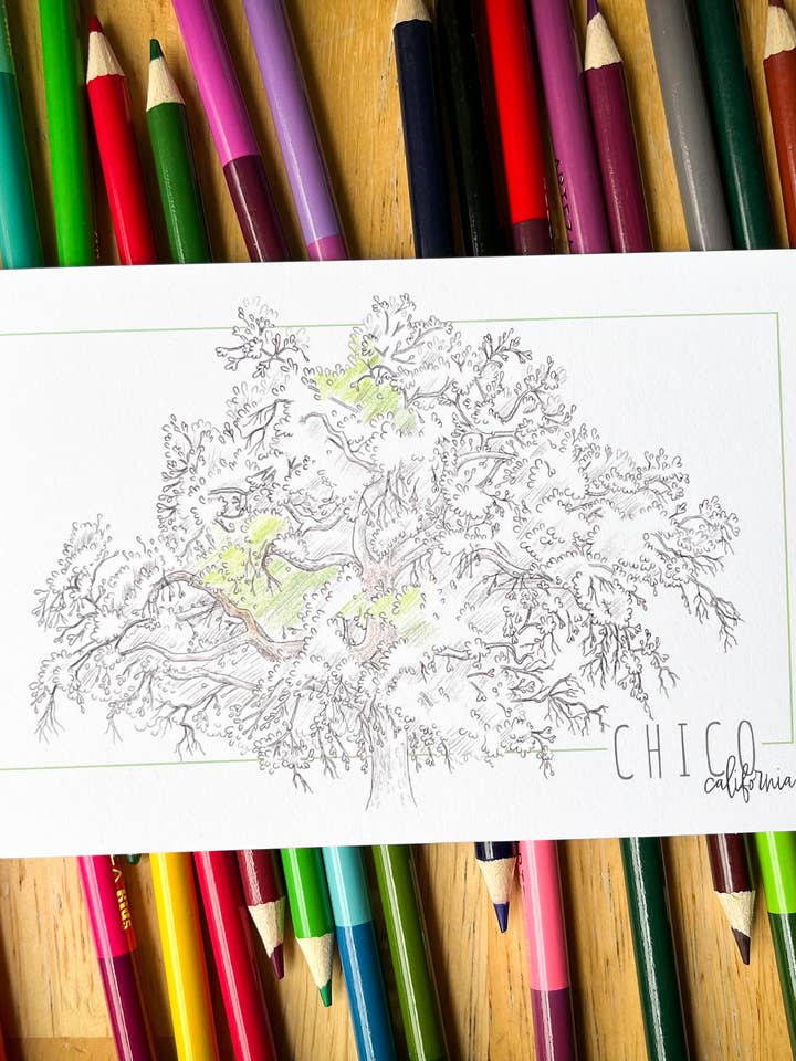 Color-it-yourself California postcard: Valley oak tree for wholesale by Hannah Moore Art