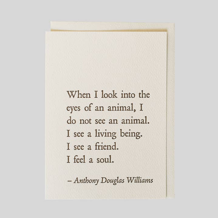 Anthony Douglas Williams - Augen QuoteNote für den Großhandel von folio press & paperie