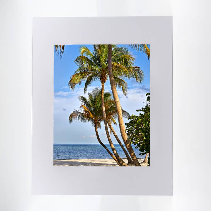 Œuvre d'art - Coconut Palms 7 pour la vente par Mike Ring Photography
