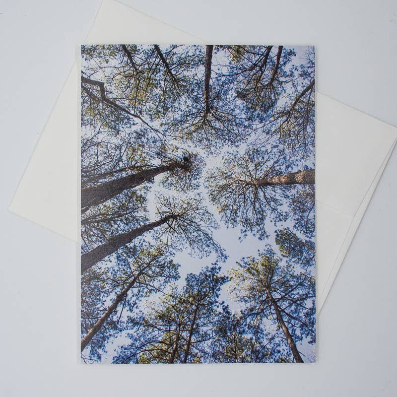 Wren - Wholesale Everyday Greeting Card - Pine Trees | Skyward (Blank inside) Greeting Card6