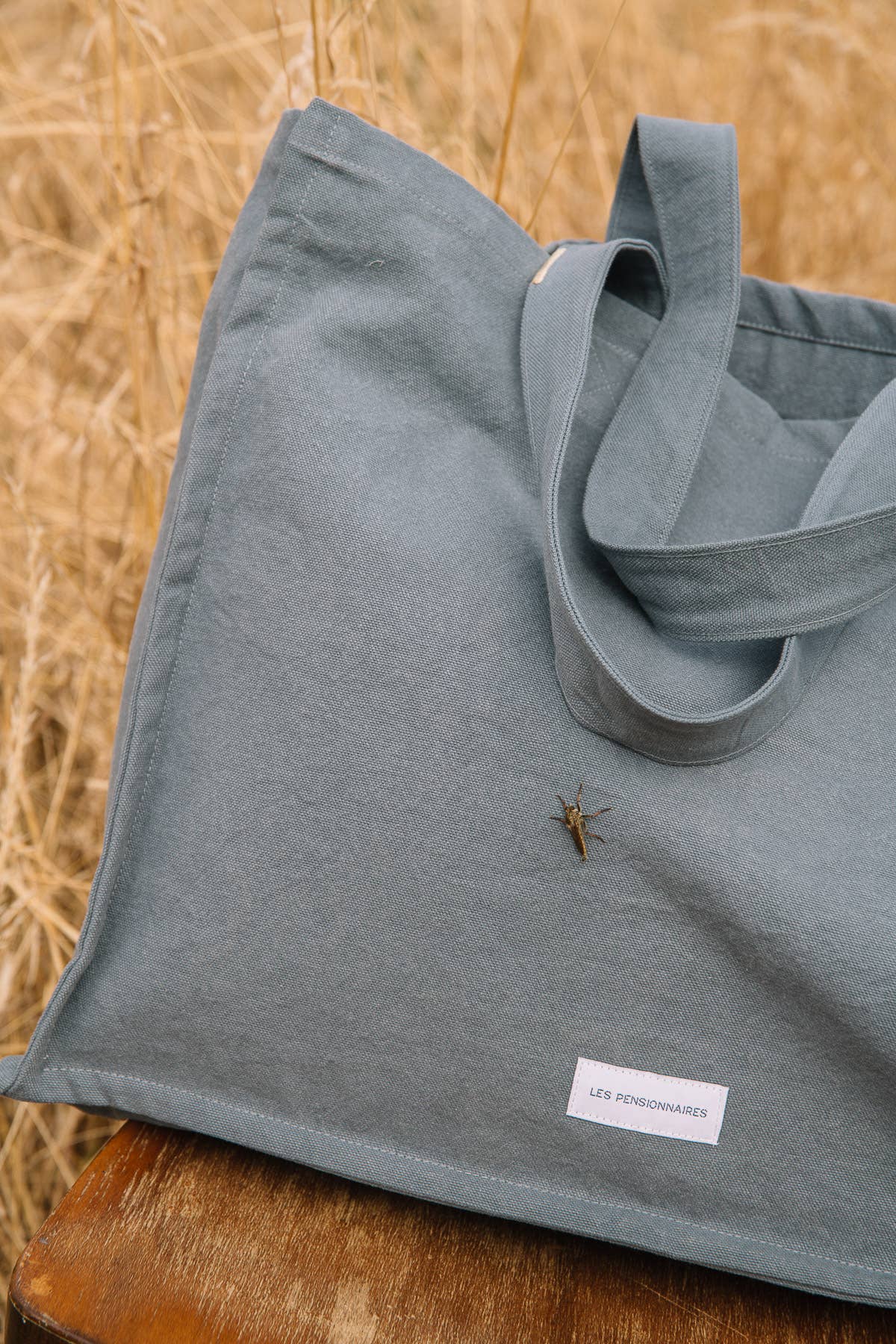 Les Pensionnaires – wholesale Bärkasse - Dam – Stor ekologisk bomullstote i canvas i horisontblå färg4