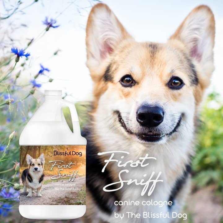 The Blissful Dog – Großhandel Haustier-Deospray – First Sniff Dog Cologne | Bleibt in Ihrer Nase Gallone