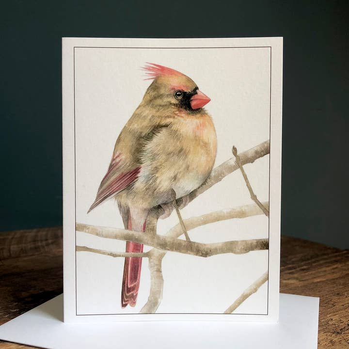 Northern Cardinal (Female) - Blank Note Card for wholesale by Amy Shawley Paquette