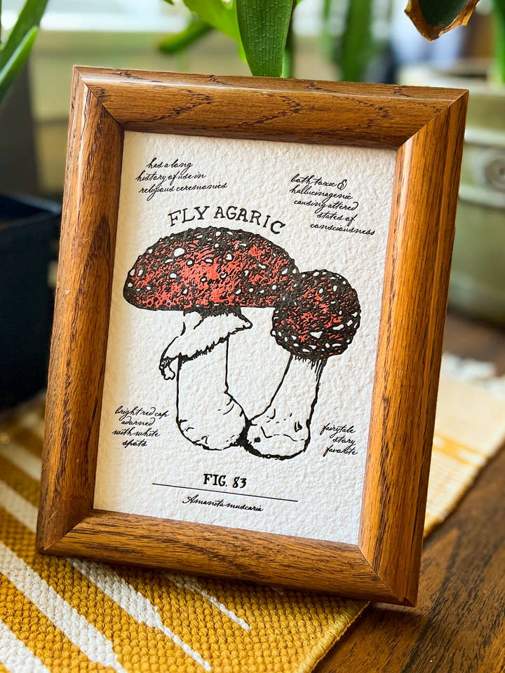 Stampa a fungo (Fly Agaric) per la vendita all'ingrosso da parte di Truth Papers