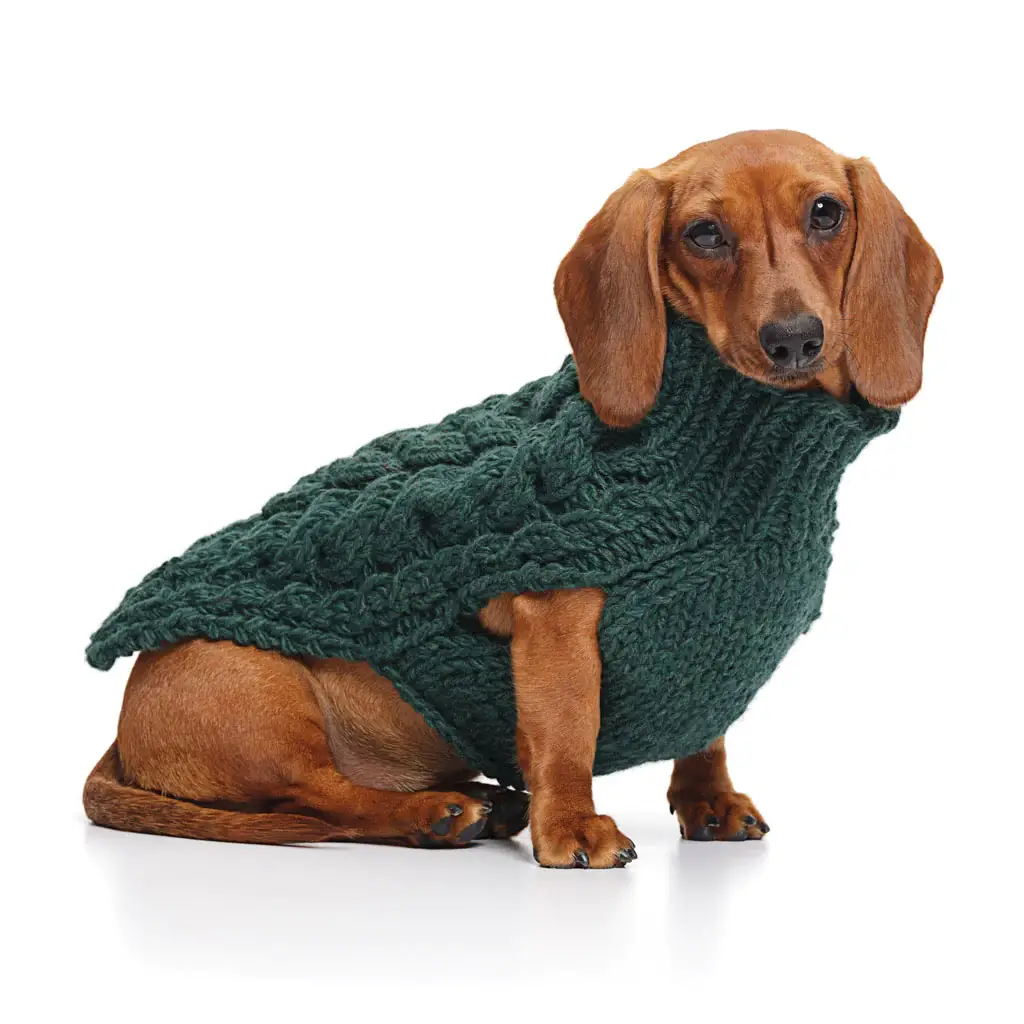 LoveThyBeast - Vente Pull – chien - Pull en tricot torsadé - Emerald1