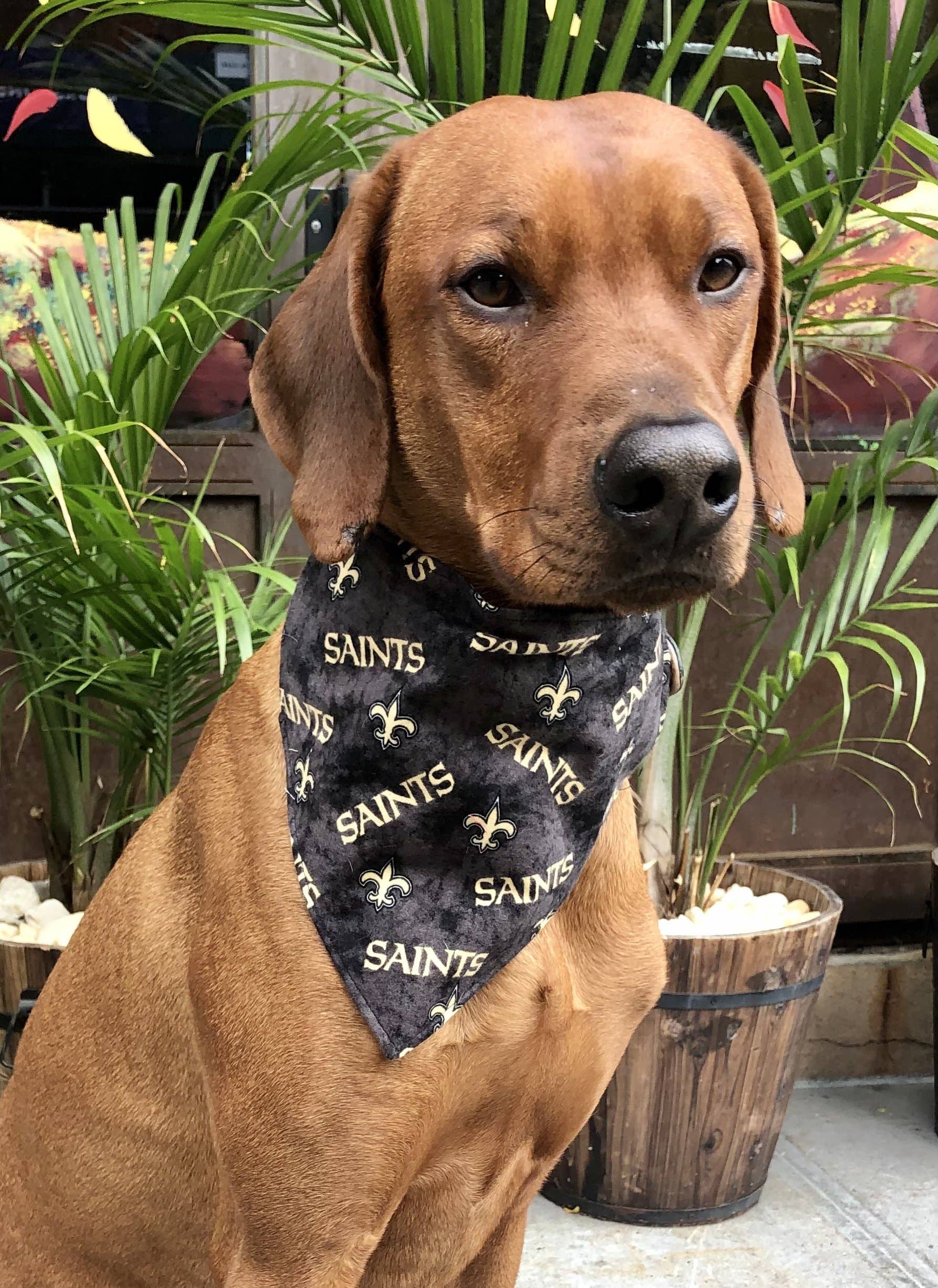 Koa's Ruff Life - Wholesale Pet Bandana - Dog - New Orleans Saints Bandana - Football Collection