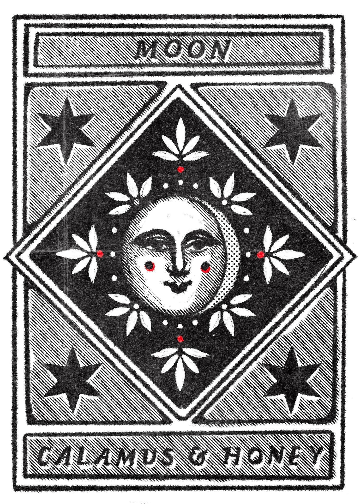 Calamus & Honey - Wholesale Votive Candle - Moon 7-Day Fixed Candle2