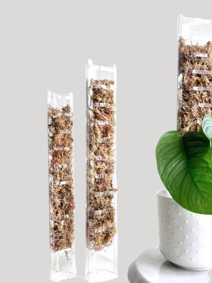 Front-closing Moss Pole Sheet for wholesale by PlantBay