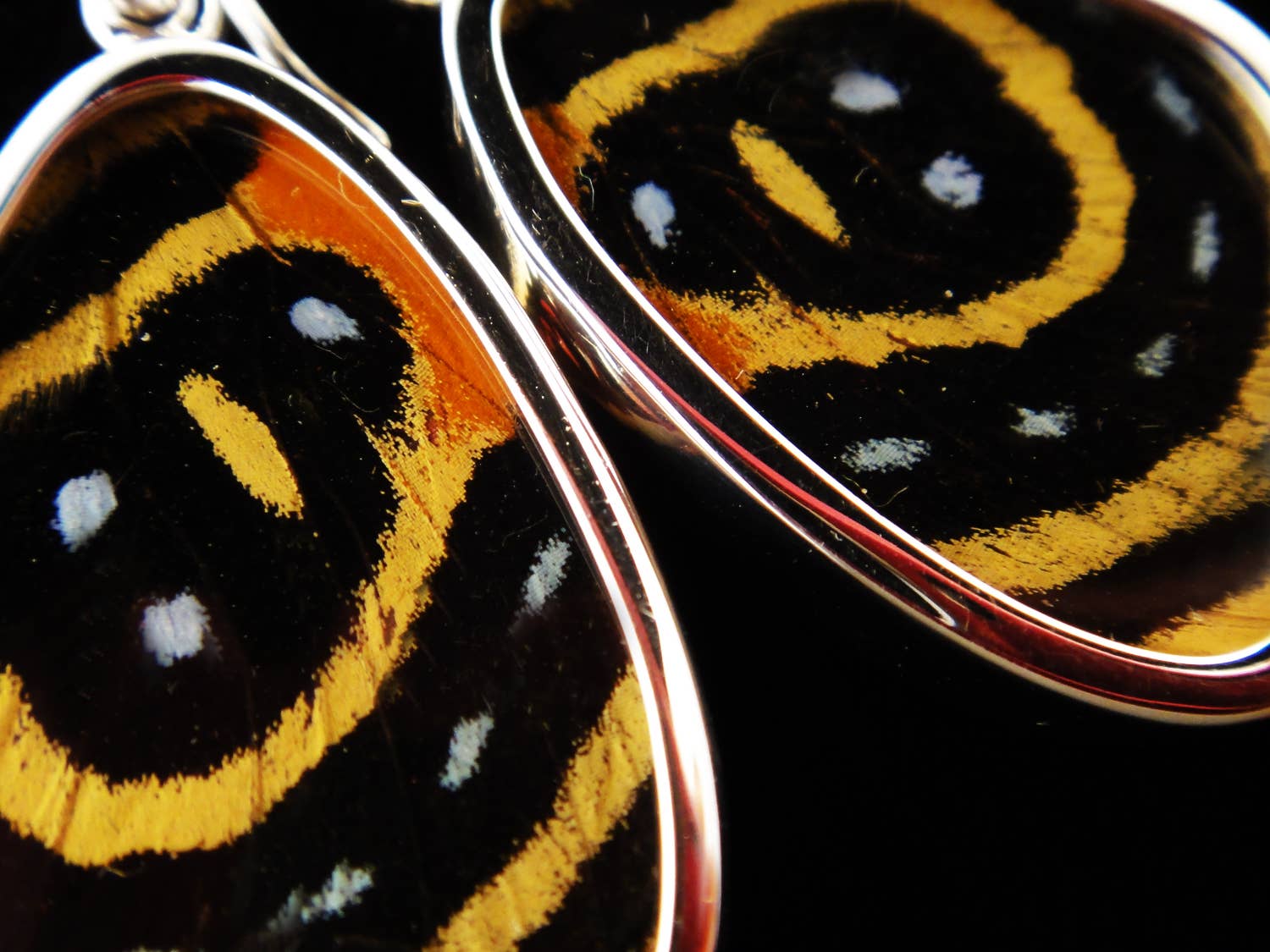 Tika - Wholesale Dangle Earrings - Shimmerwings "Speckled Numberwing" Butterfly Small Earrings1