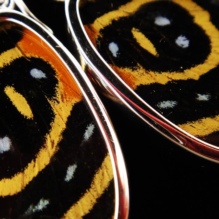Tika - Wholesale Dangle Earrings - Shimmerwings "Speckled Numberwing" Butterfly Small Earrings1