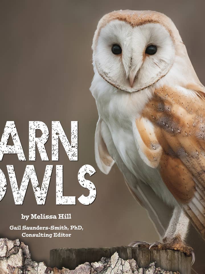Barn Owls - Livre éducatif pour enfants pour la vente par Capstone
