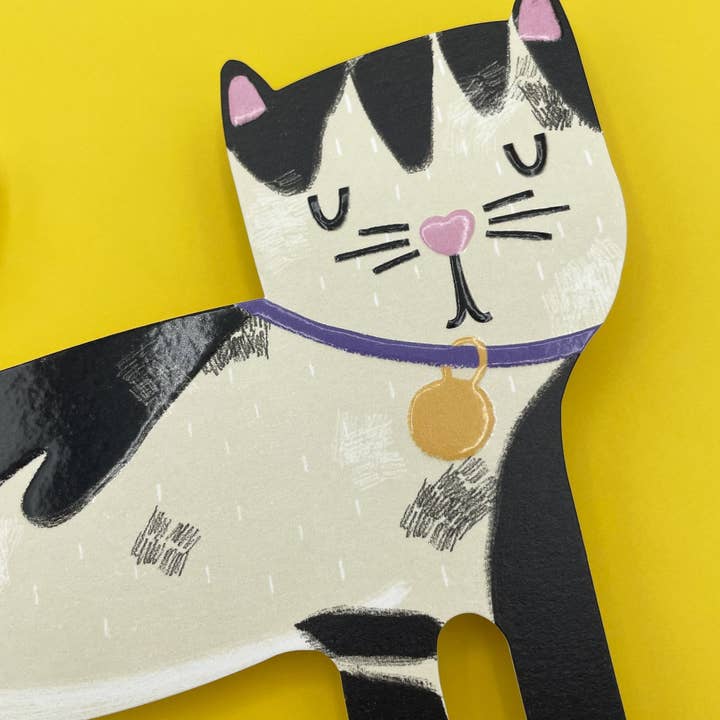 Raspberry Blossom - Vente Carte de vœux classique - Chat noir et blanc (PAW05)2