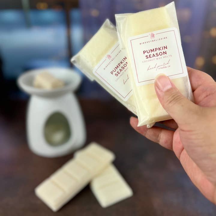 Pumpkin Season - Signature Wax Melt for wholesale by BirdseyBelizaire