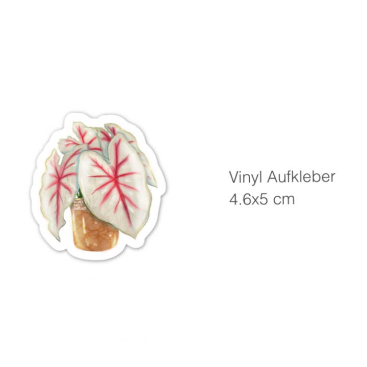 plantyintroverts - Wholesale Sticker - Stickers - Caladium Fiesta, Plantlover, Houseplants, Tropical1