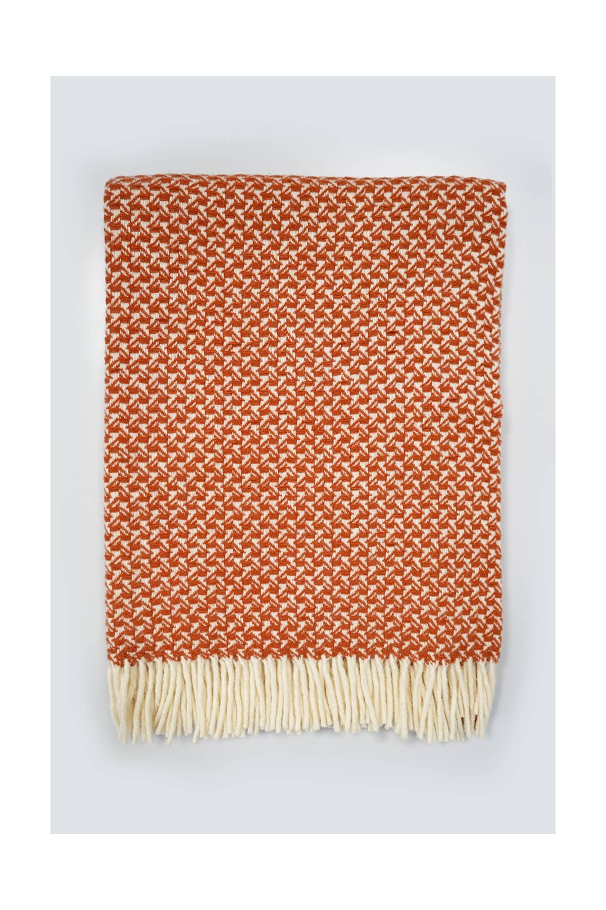 Chicoração - Vendita all'ingrosso Plaid - Coperta Rondine - più colori63