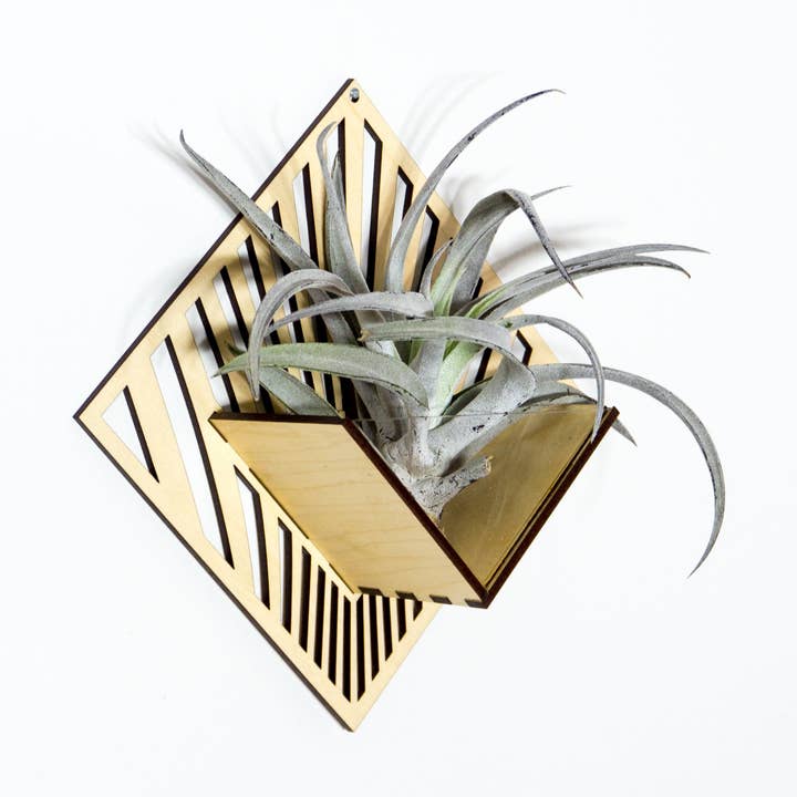 Air Plant Holder - Quadrate Wall Hanging Planter 6 for wholesale by LIGHT RAZOR DESIGN STUDIO
