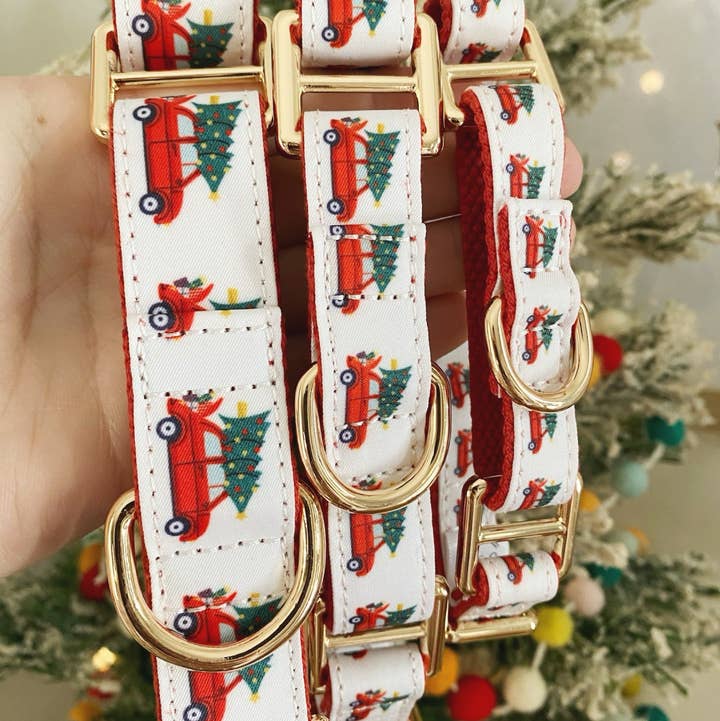 CHRISTMAS CAR MARTINGALE DOG COLLAR for wholesale by Roxy & Co. Canine Accessories