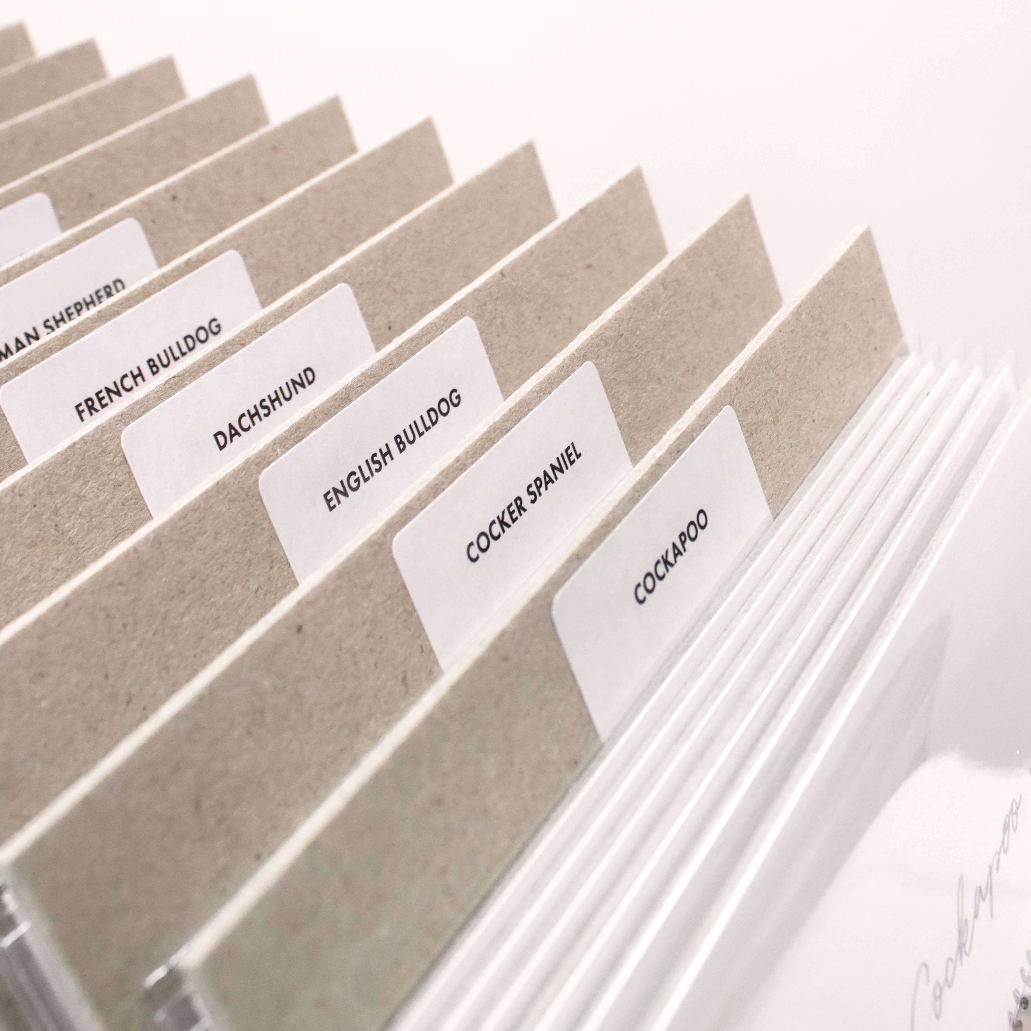 Coulson Macleod (U.S. Duties Paid) - Wholesale Art Print - Best-Selling 'Pooch' Dog Prints with Wooden Display Box1