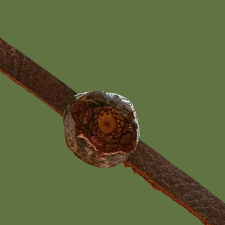 Jack Pine Cone Multiwear auf Leder für den Großhandel von Pith & Pine