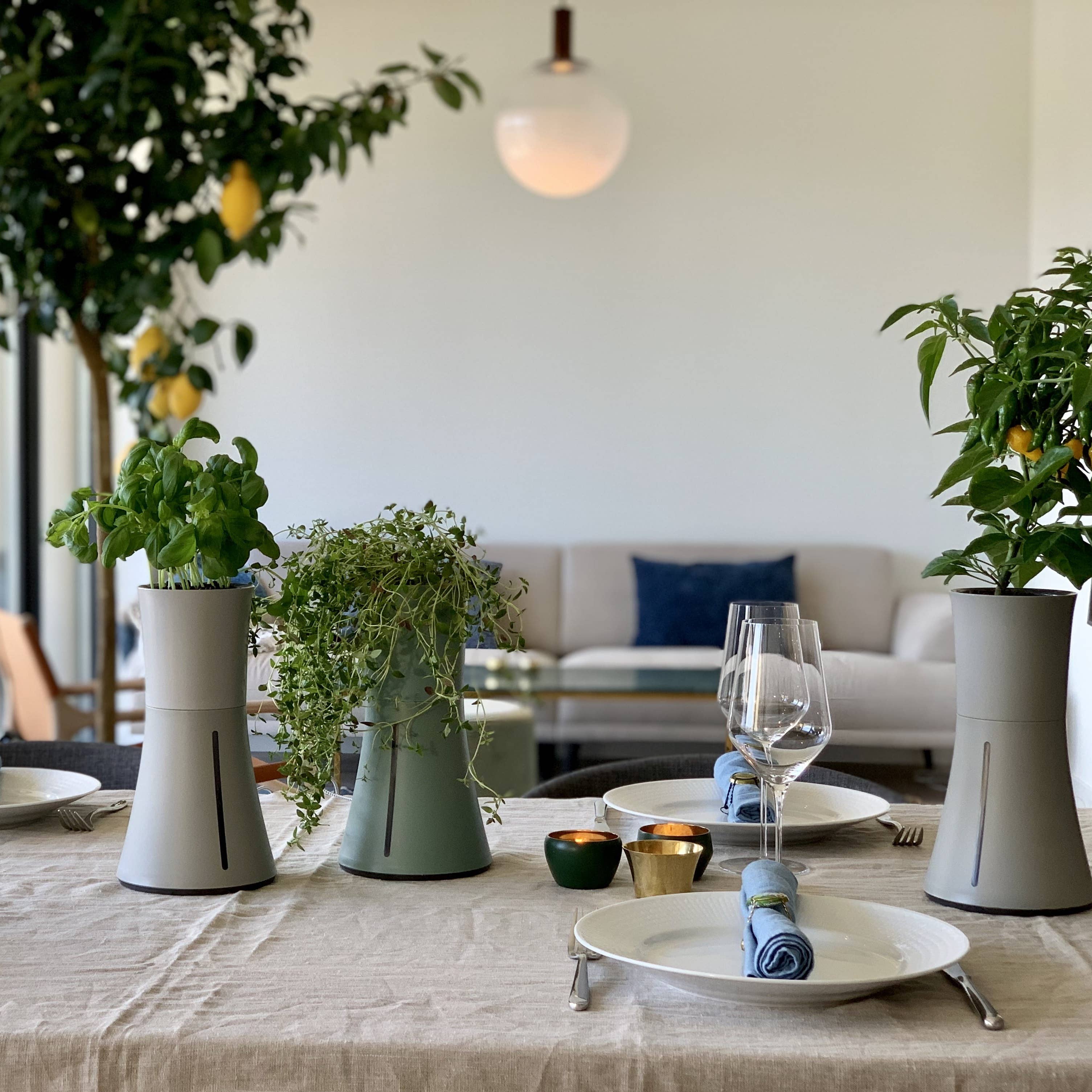 Botanium AB – Engroshandel Plantekrukke – Botanium selvvandende plantepotte - askesgrå6