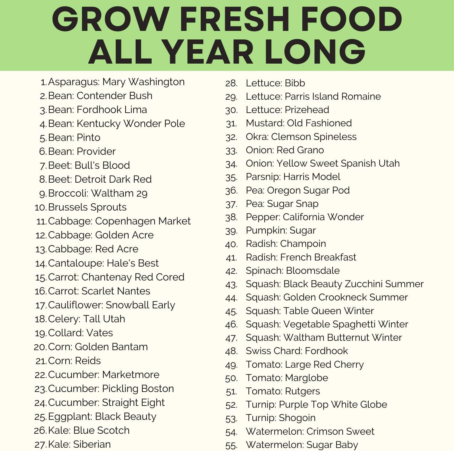 Homegrown Garden - Wholesale Plant Seeds - 55 Heirloom Vegetable Seeds - 27,500+ Non GMO Seeds7