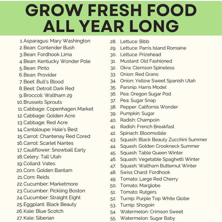 Homegrown Garden - Wholesale Plant Seeds - 55 Heirloom Vegetable Seeds - 27,500+ Non GMO Seeds7