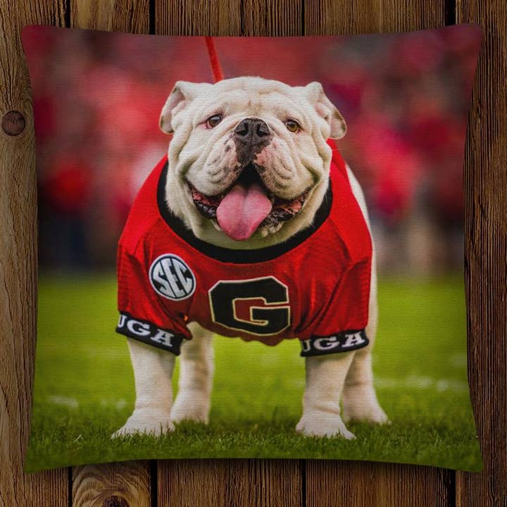 Uga X 18x18" Kuddfodral - Georgia Bulldogs Decor för wholesale av Wright Photo