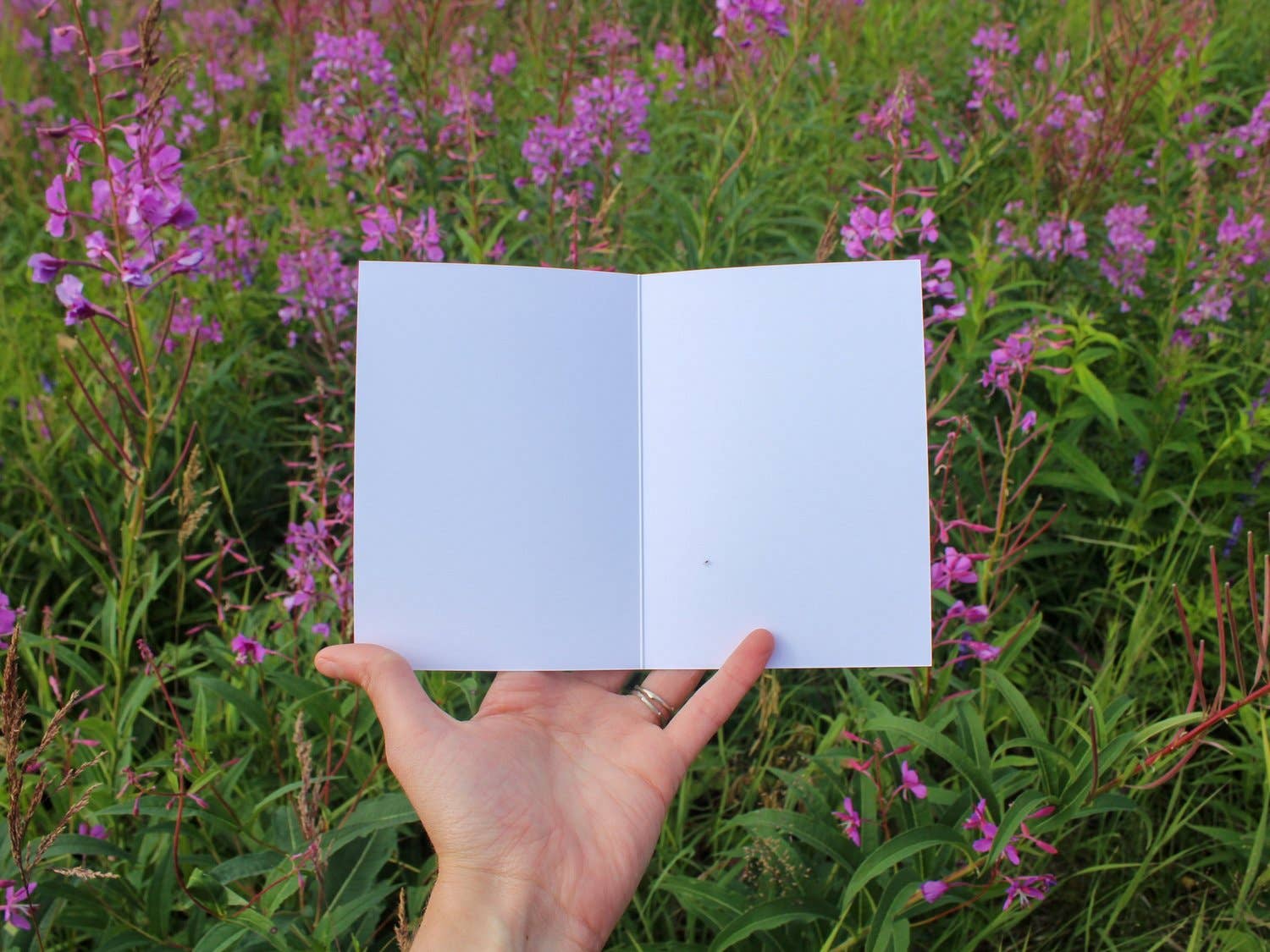 Jill Richie Art - Wholesale Stationery/Notecard Set - Full Bloom Greeting Cards5