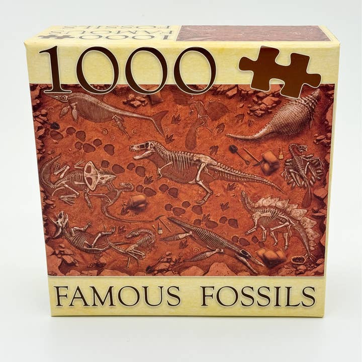 Montrose Biology – Großhandel Puzzle - Erwachsene – „Berühmte Fossilien“ Paläontologie-Puzzle (1k)
