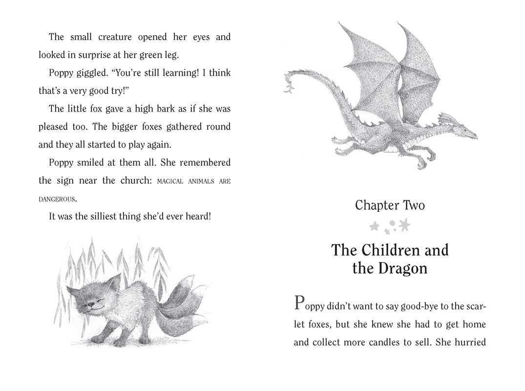 Simon & Schuster - Wholesale Early Reader Book (6-8) - Magic Fox by Paula Harrison5