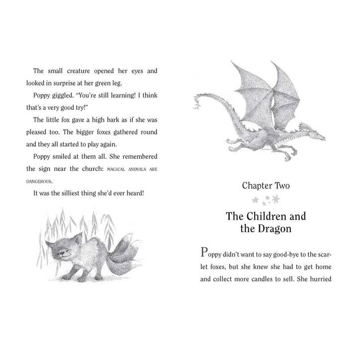 Simon & Schuster - Wholesale Early Reader Book (6-8) - Magic Fox by Paula Harrison5