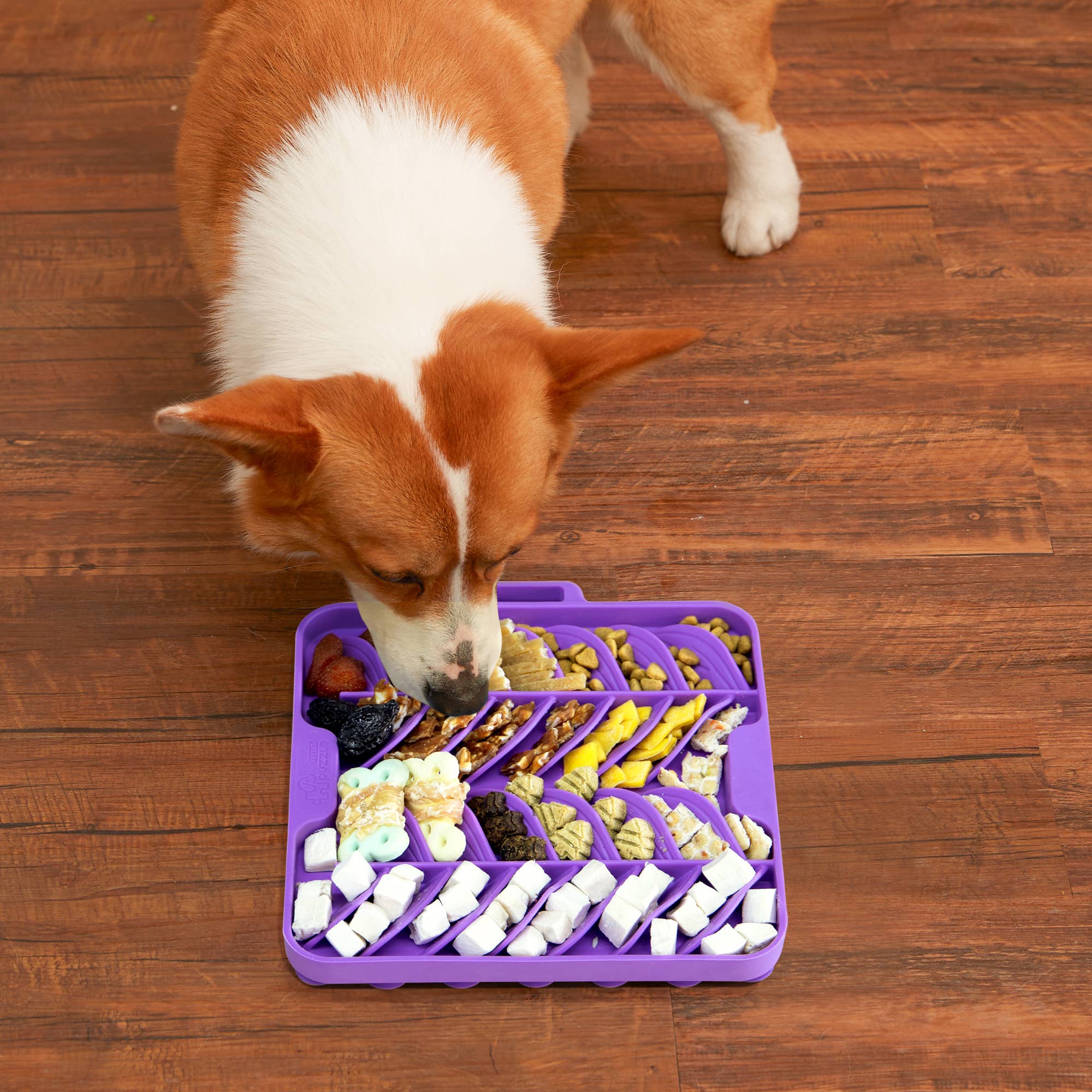 Pet Future llc - Wholesale Pet Food Mat - Dog - Puzzle Feeder Lick Mat for Dog, Enrichment Toy Purple Mat5