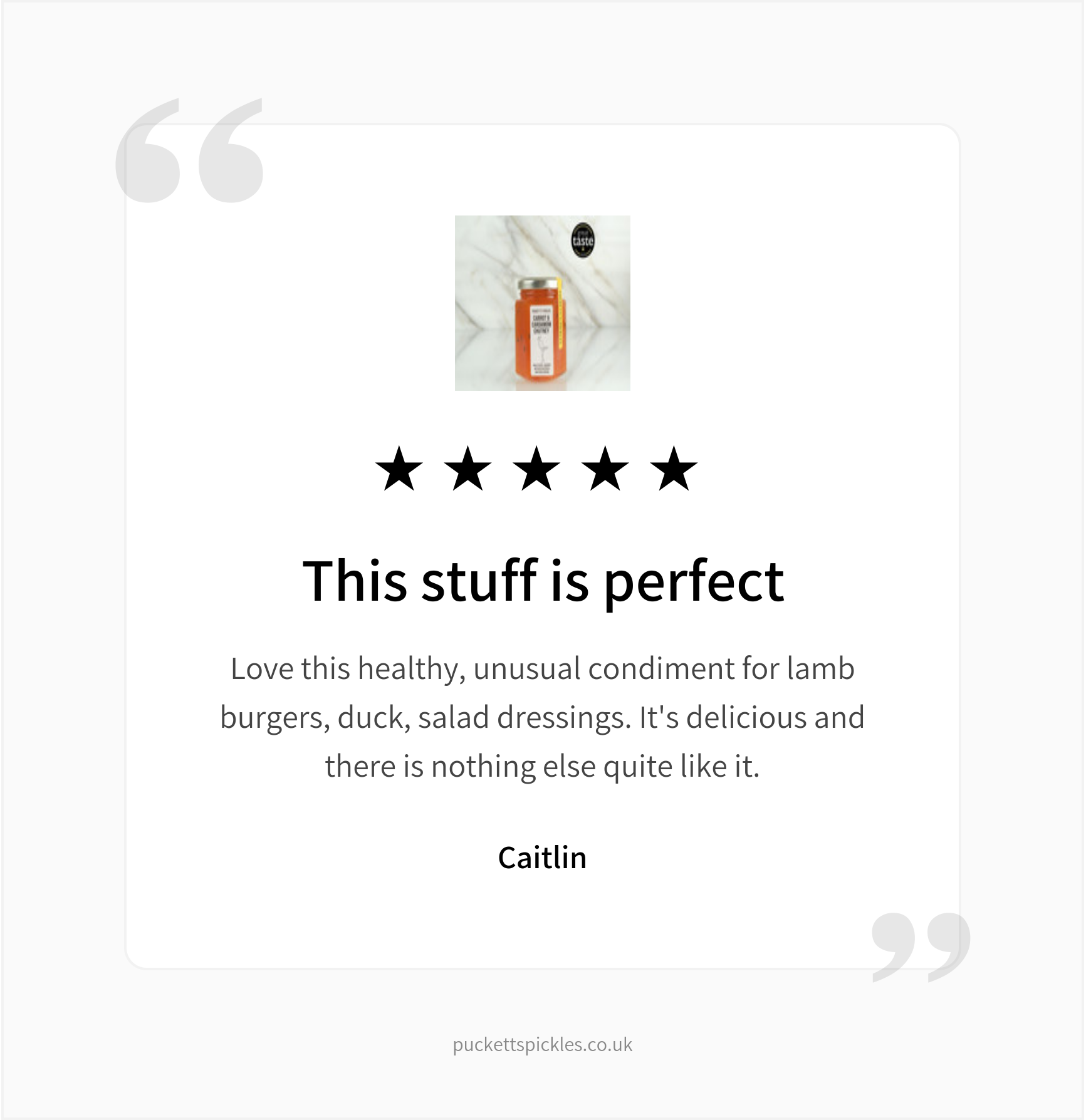 Puckett's Pickles Ltd – wholesale Chutney – Carrot & Cardamom Chutney - Rich & Exotic: Heavenly With Both Eastern & Western2