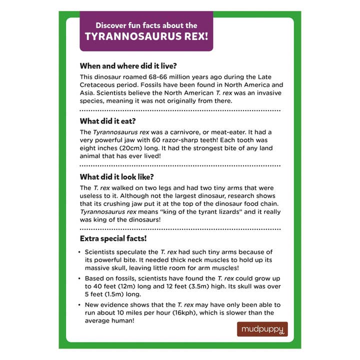 Chronicle Books - Wholesale Puzzle - Kids - Tyrannosaurus Rex Mini Puzzle2