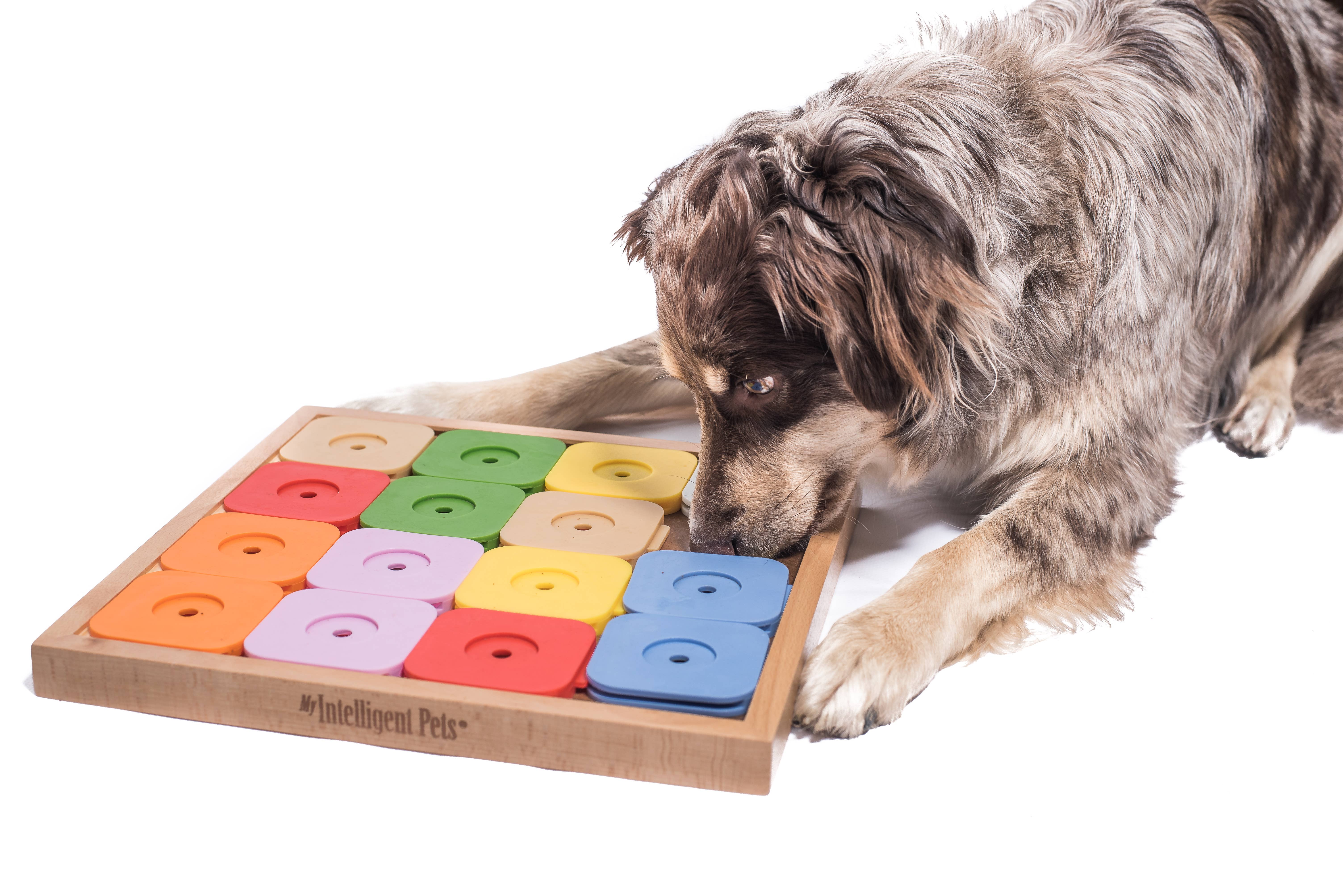 My Intelligent Dogs - Wholesale Pet Toy - Dog - SUDOKU Medium Genie Color - intelligent dog puzzle2