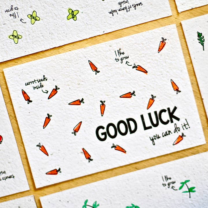 BLOOM your message - Vendita all'ingrosso Semi di piante - Carte di crescita piantabili (set) Con semi di verdure e erbe aromatiche