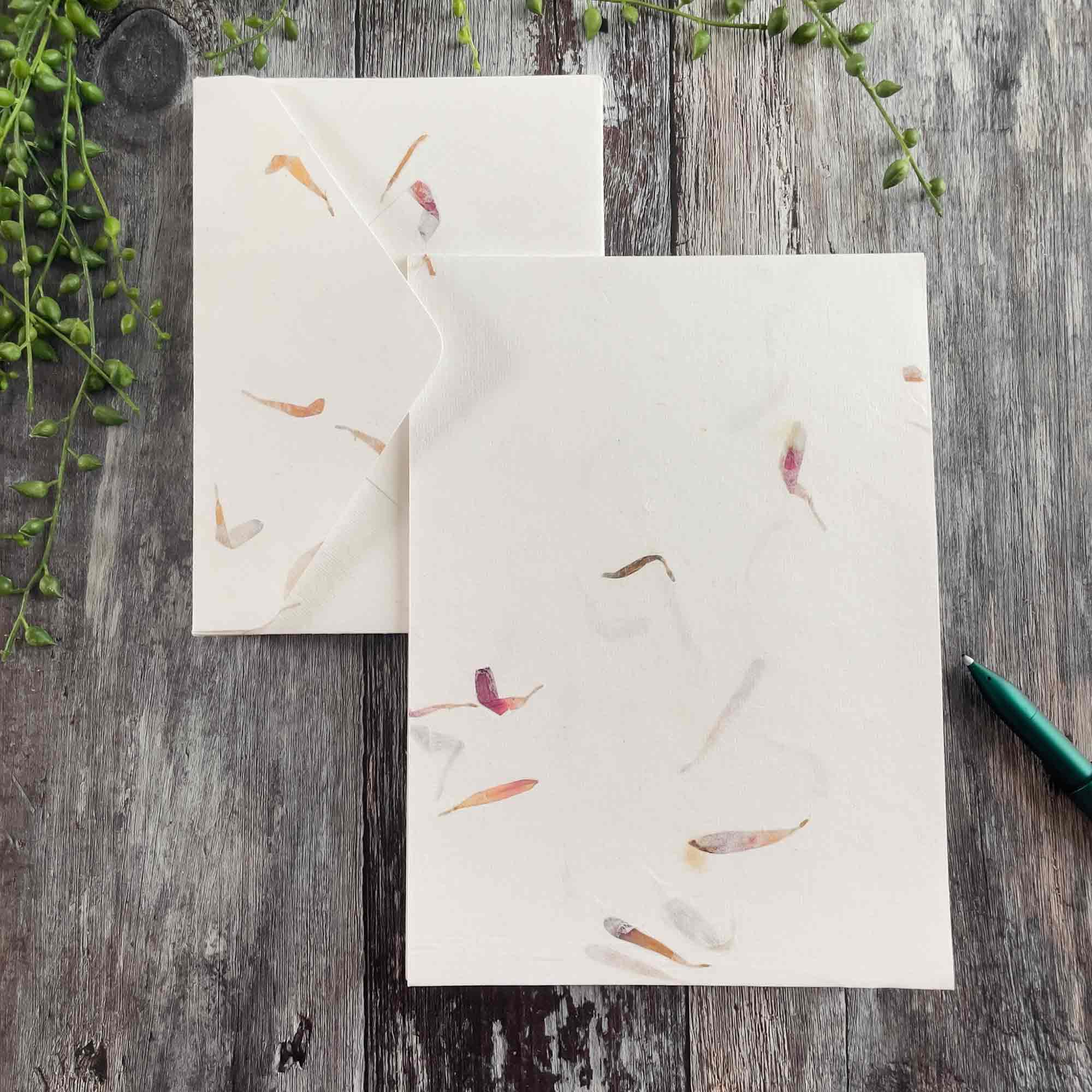 The Natural Paper Company - Wholesale Stationery/Notecard Set - Aster - Floral Handmade Paper and Envelope Set11